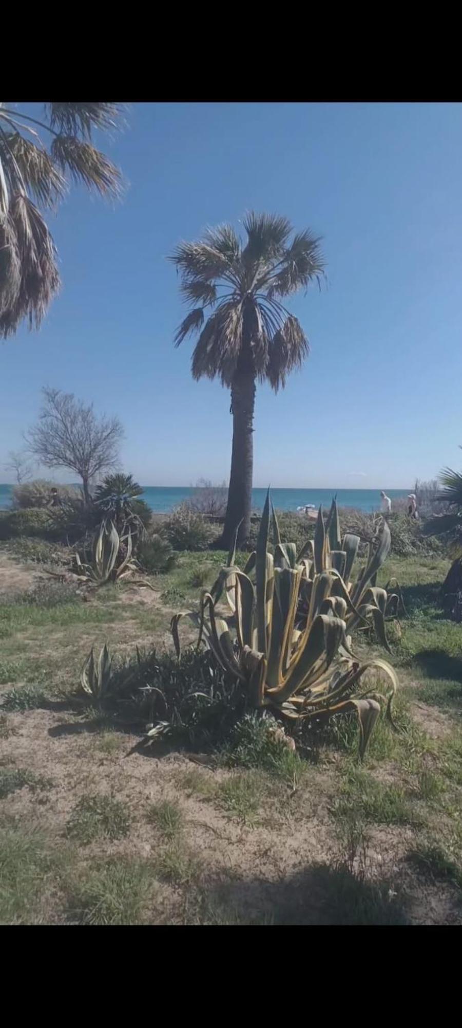 Port * Frejus
